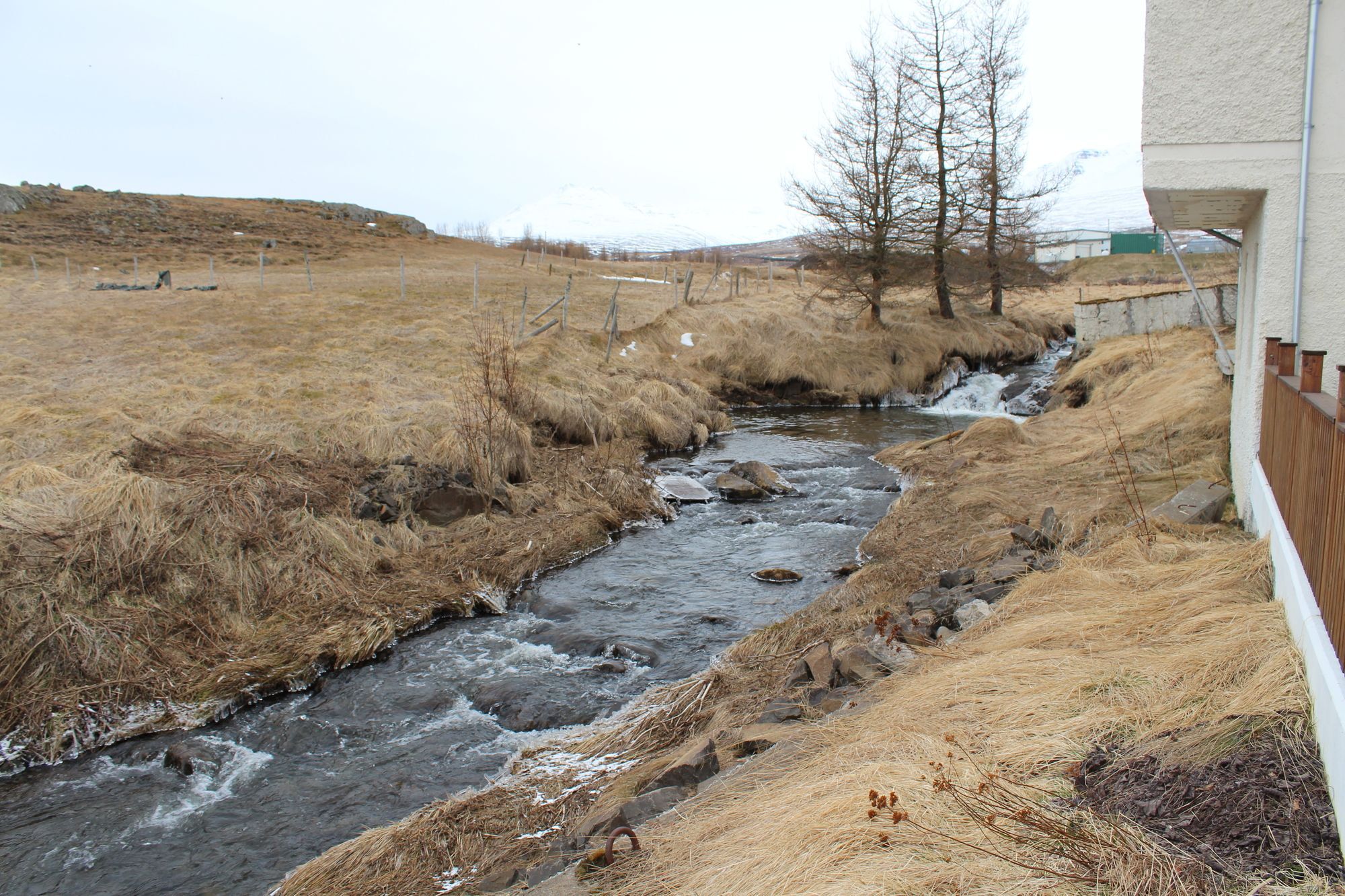 Lonsa Guesthouse Akureyri Bagian luar foto